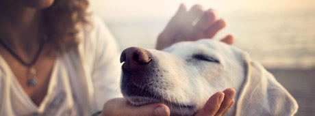 Frau streichelt ihrem Hund über die Schnauze